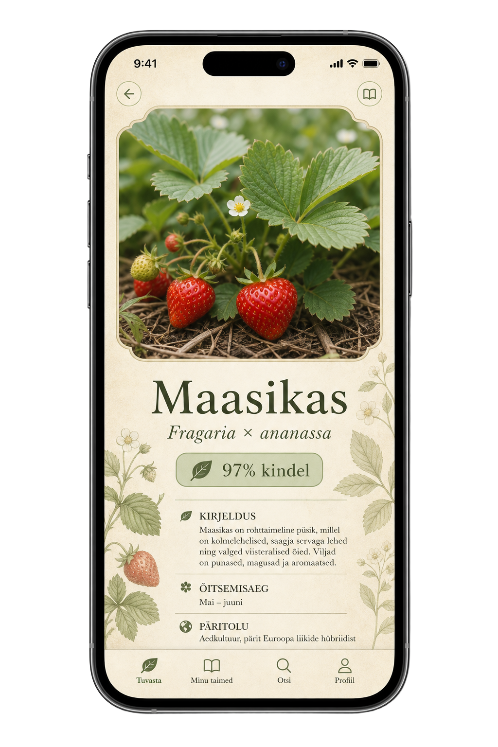 Taimik äpi vaade: taime tuvastamine fotost koos ladina nimega